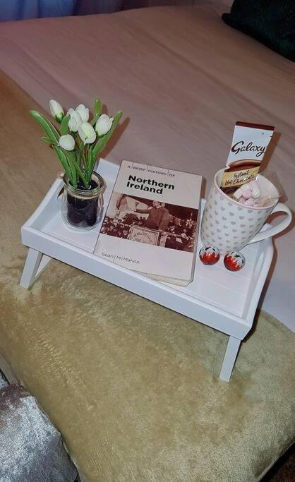 16 Stewart'S Terrace Derry City Bt48 7Lj Villa Esterno foto