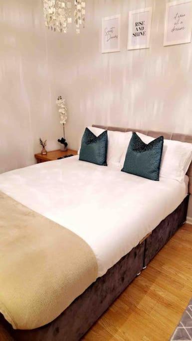 16 Stewart'S Terrace Derry City Bt48 7Lj Villa Esterno foto
